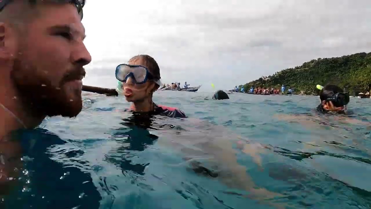 Filipíny, Cebu 2026   šnorchlování se žraloky obrovskými