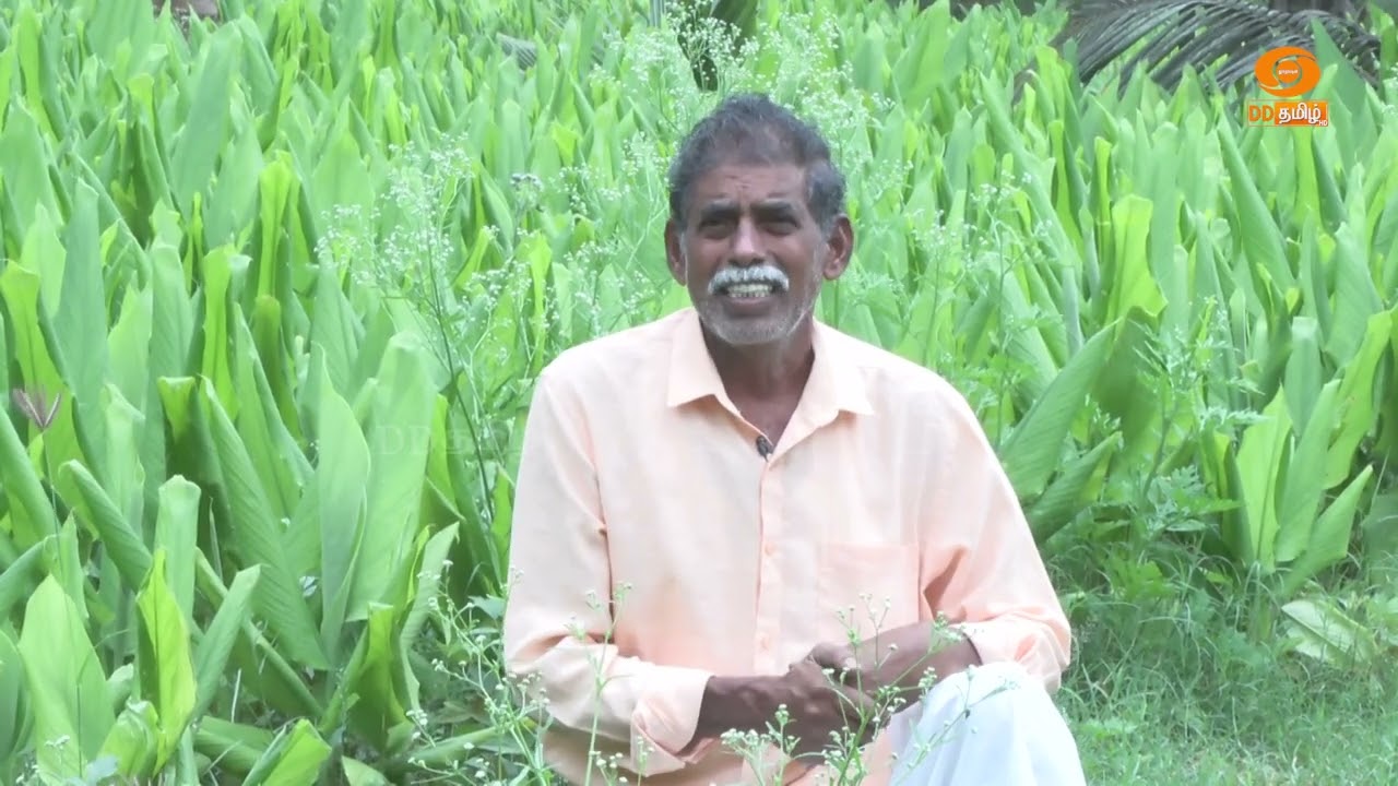 அங்கக முறையில் வேளாண் சாகுபடி | Successful Farmer #farming #farm