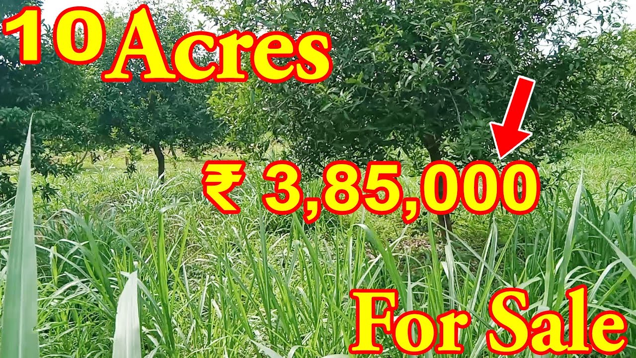 10 Acres Cheap Price At VISAKHAPATNAM Land For Sale | Double Crop Cultivation ₹ 3,85,000 |Cheap Land