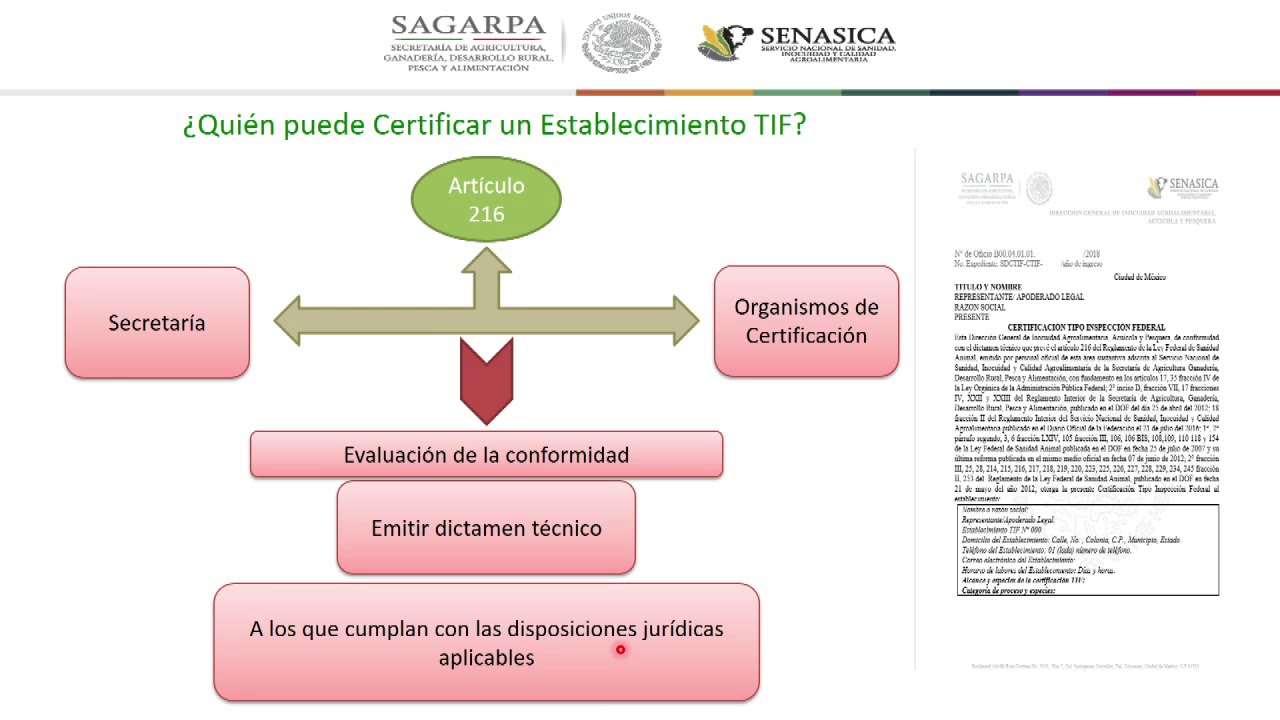 Proceso para tramitar la Certificación Tipo Inspección Federal TIF