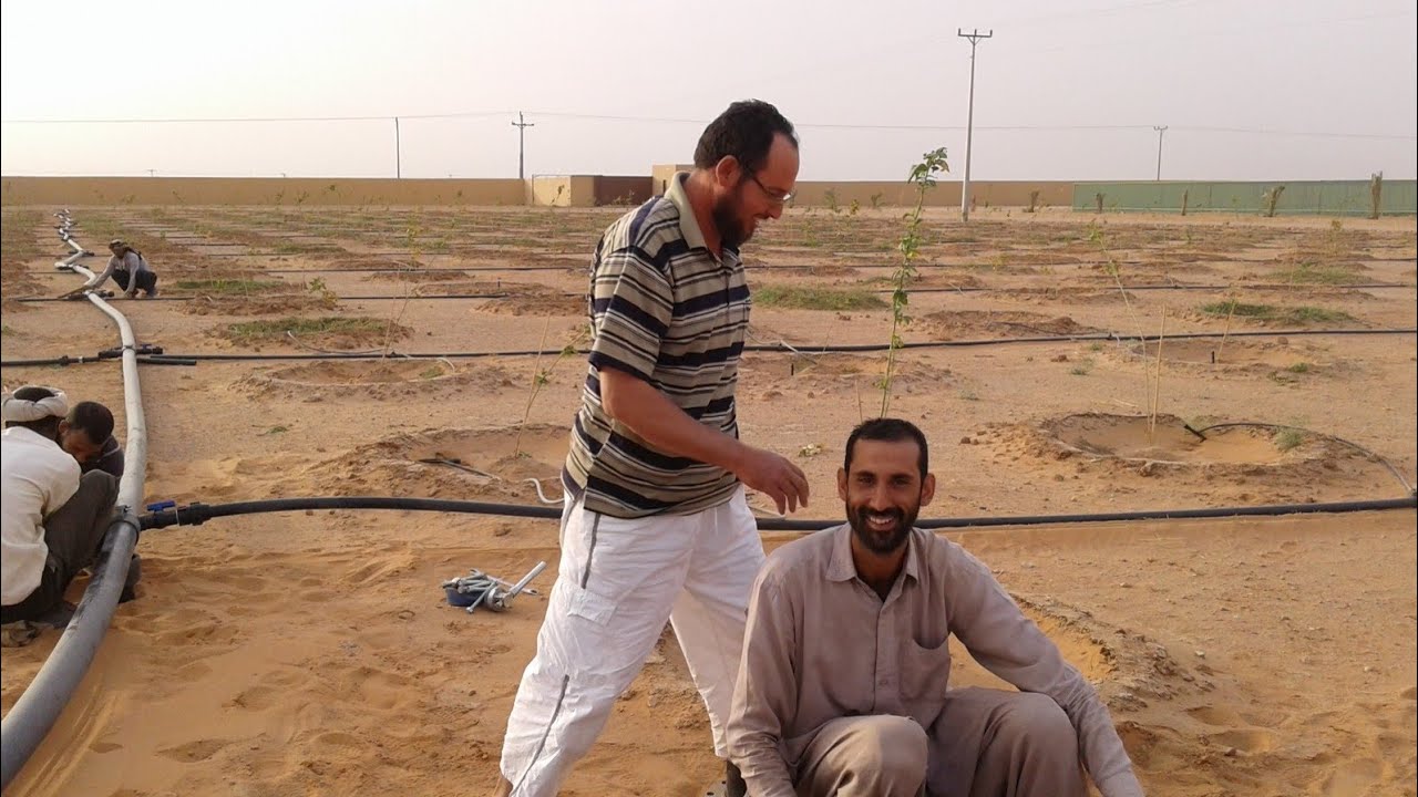 دراسة تكاليف أستصلاح 30 فدان  أرض صحراوية الجزء 1  م اسعد الفقي