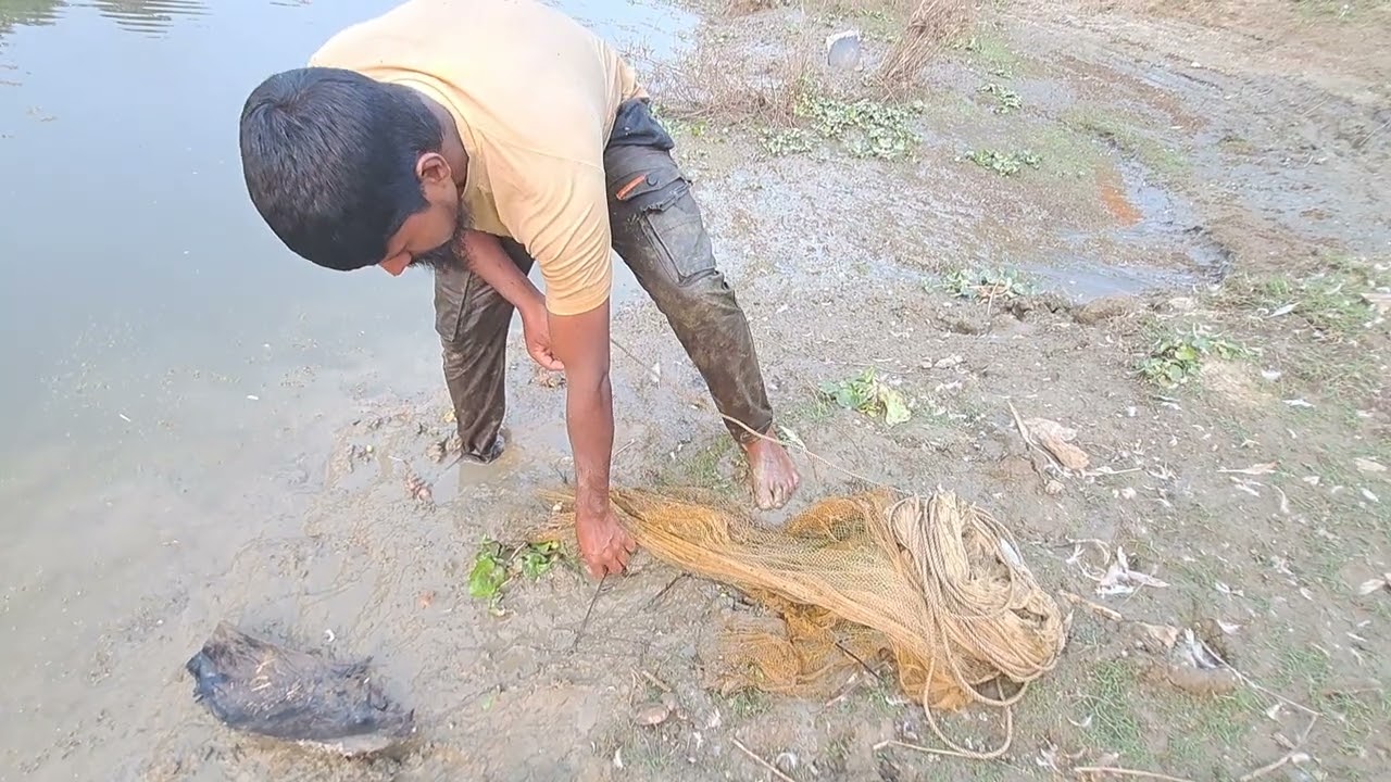 নদির মাছ মানেই আগুন।। Village Fishing vedio in Bangladesh... 