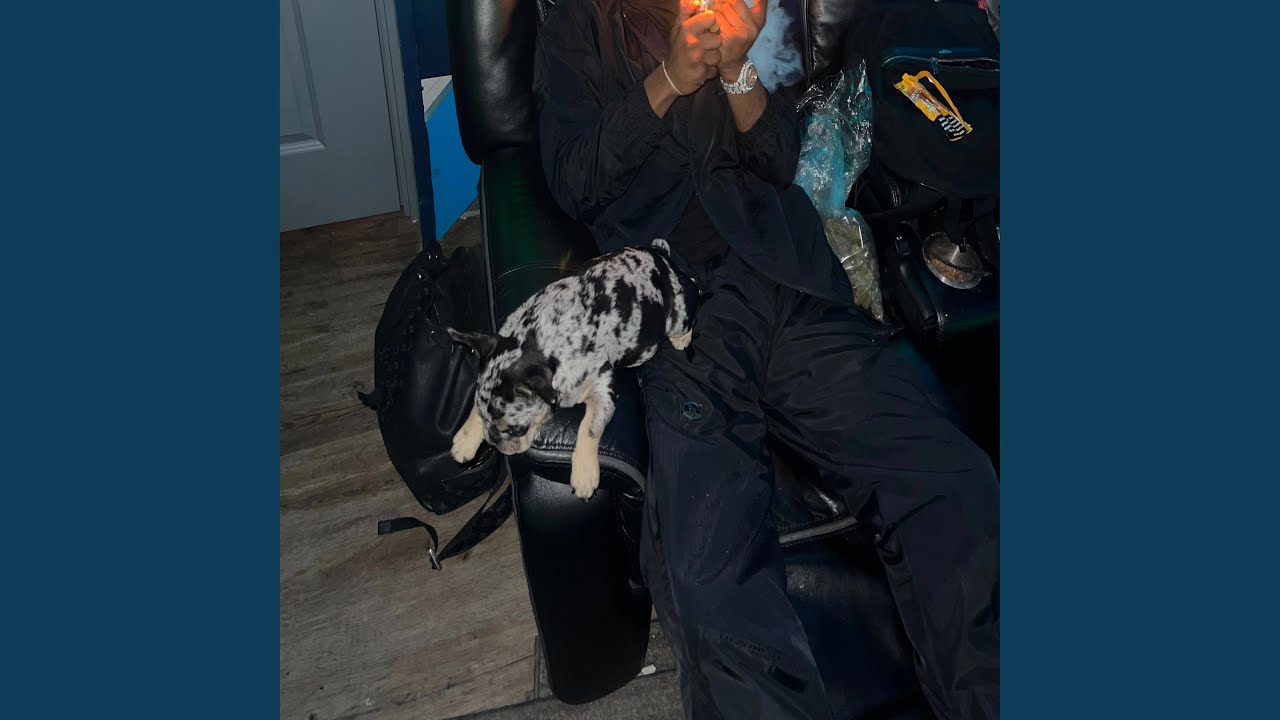Hand In The Bag