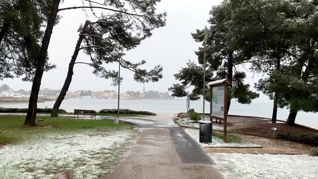 🇭🇷A Walk on a Snowy Day🌨️ in Novigrad-Cittanova (Istria, Croatia)