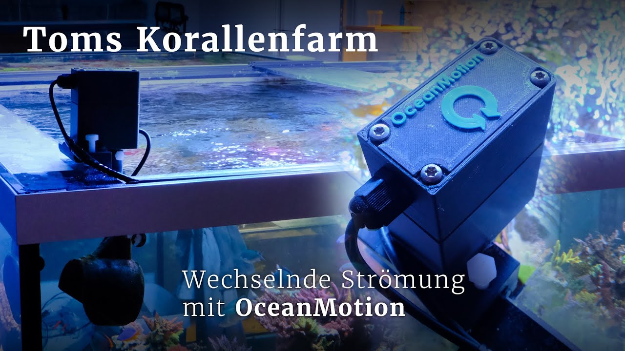 Wechselnde Strömung mit OceanMotion