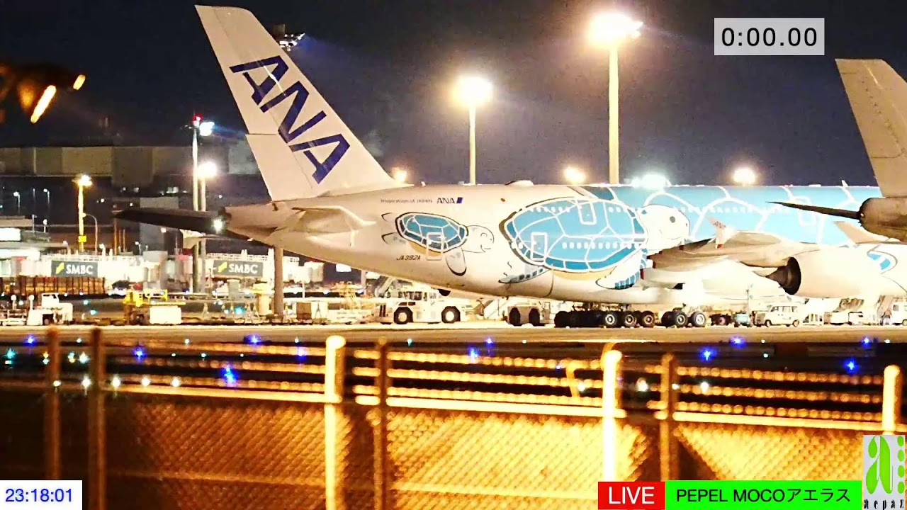 NRT成田空港２２January/2026