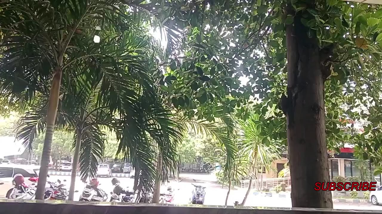 KOLEKSI LAGU DANGDUT LAWAS YANG SLOW KALEM ENAK BANGET DIDINGAR