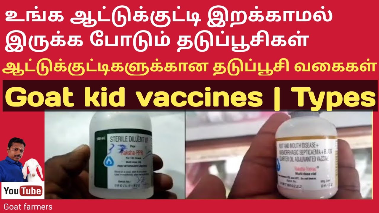 ஆட்டுக்குட்டிகளுக்கான தடுப்பூசி வகைகள் | #Goatkid |#vaccines