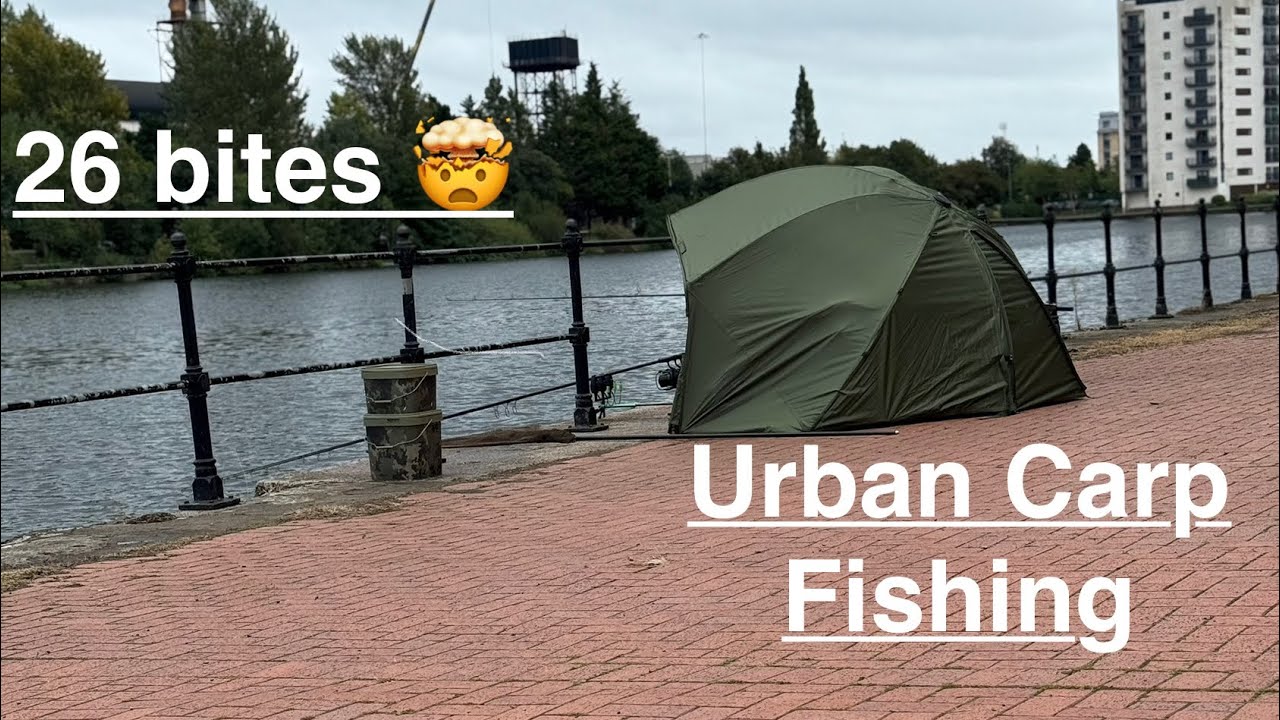 Back for revenge, Crazy Urban carp fishing in Cardiff (Wales) 🏴󠁧󠁢󠁷󠁬󠁳󠁿
