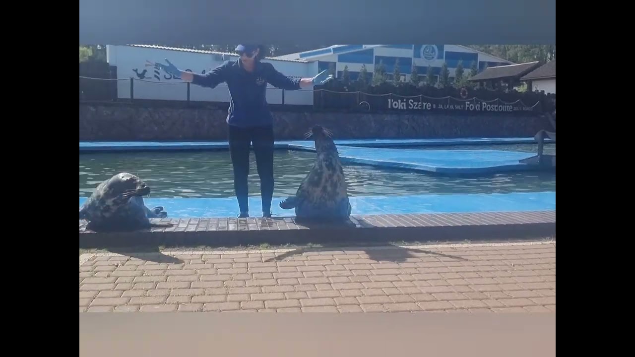 Sea Park w Sarbsku - vlog 3