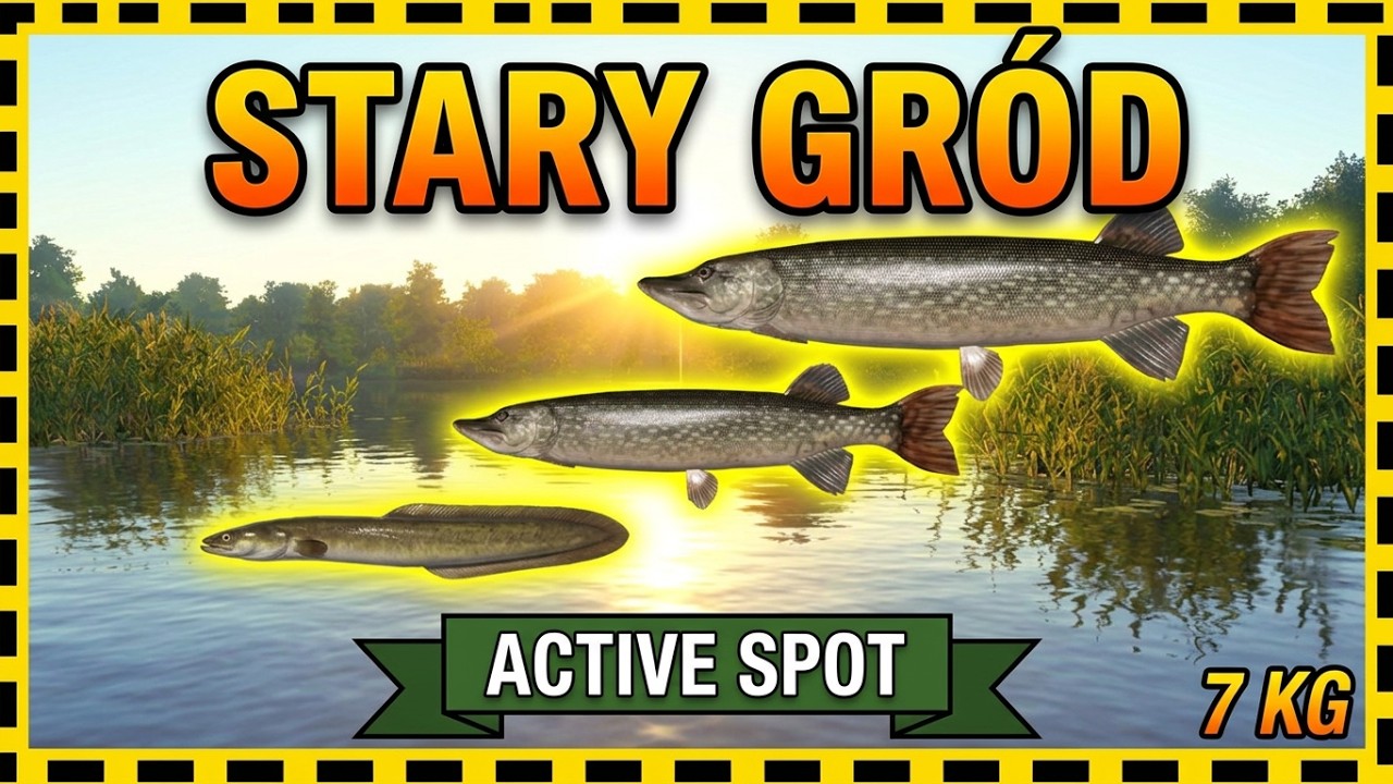 RF4: Stary Gr&oacute;d &ndash; Aktywny spot na szczupaki i węgorza
