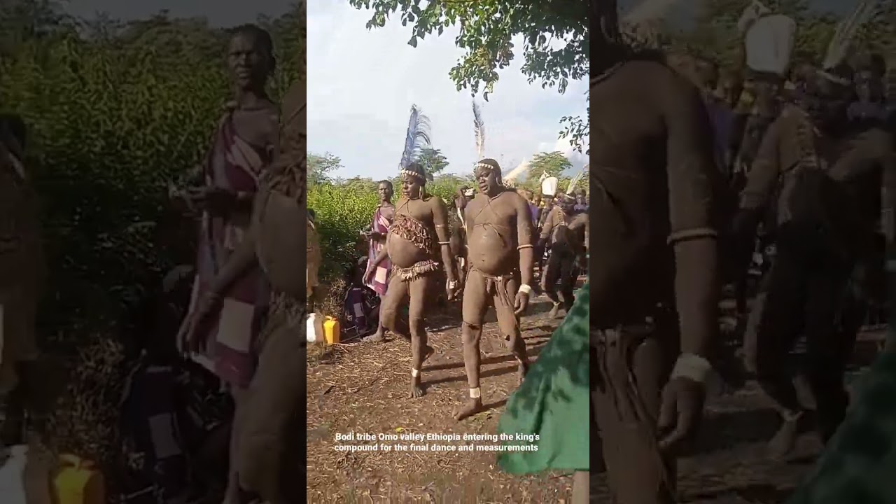 Part 2: Annual celebration of Bodi tribe, men compete to be the fattest man in the tribe.