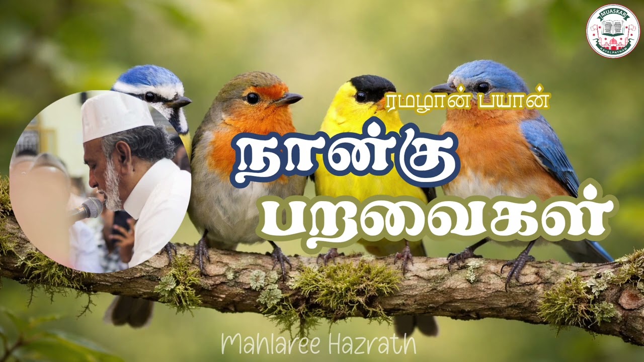 நான்கு பறவைகள் •Tamil Bayan • Mahlaree Hazrath