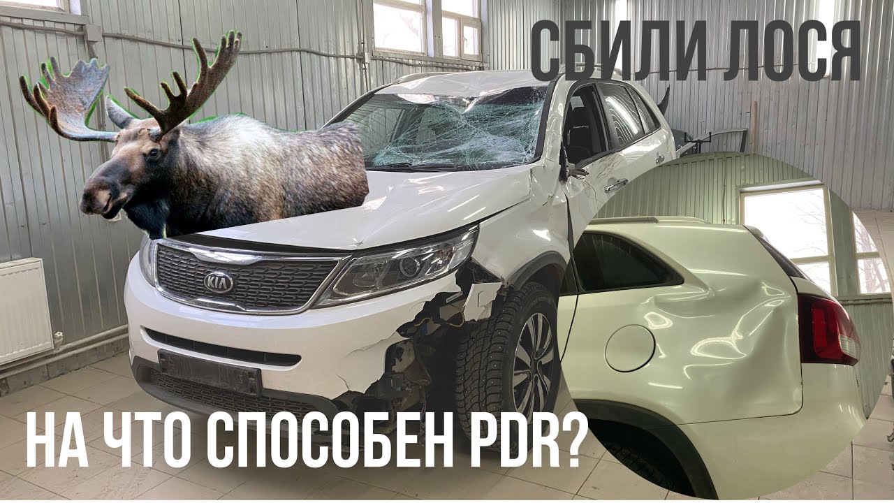 На что способен PDR? Сбили лося. Ремонт без покраски.