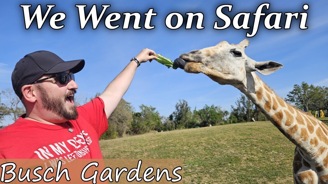 We Went on Safari in the Heart of Tampa!