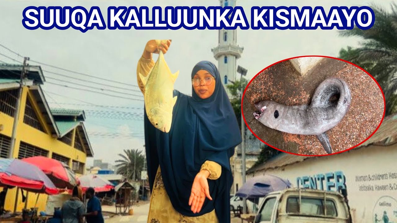 Nolosha Subaxa hore ee Kismaayo// waxaan booqday suuqa ugu wayn ee kallunka lagu gado//