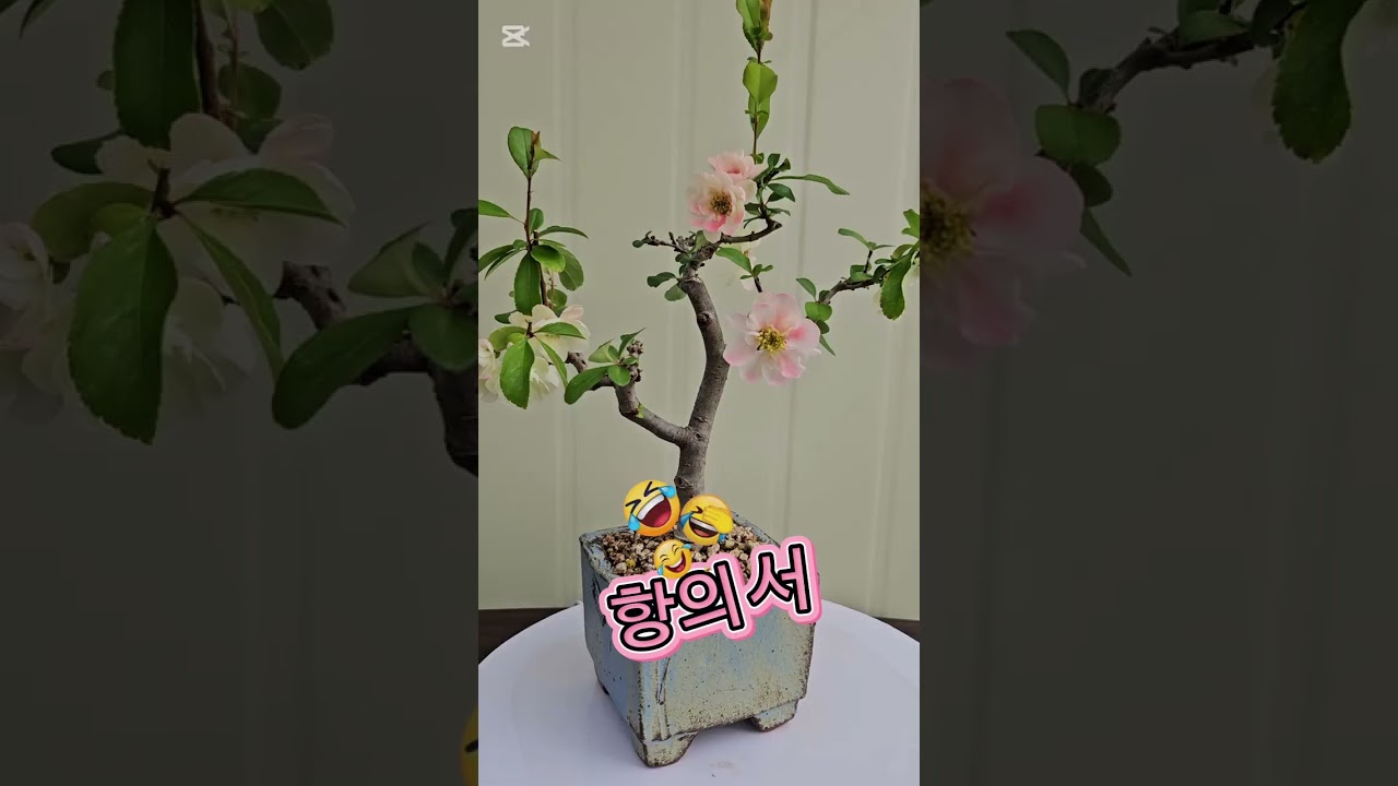 2026년 3월 9일