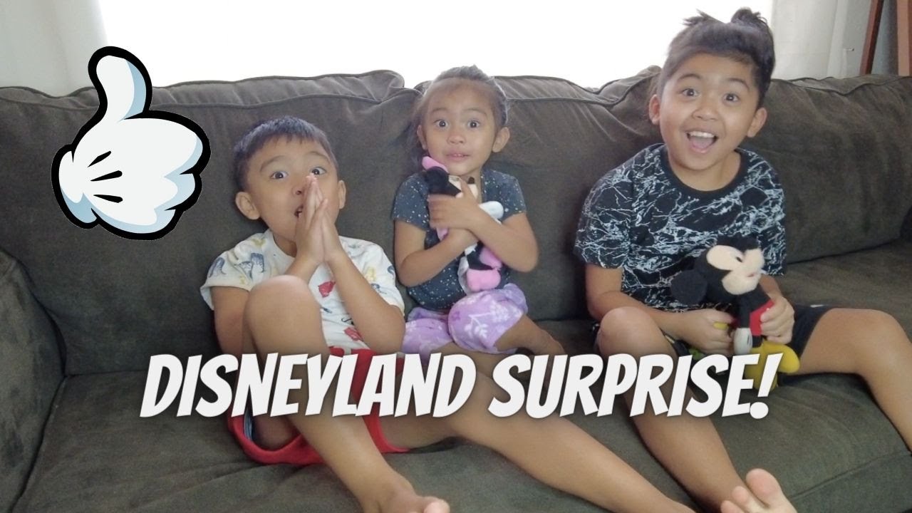 The Sweetest Reaction to Disneyland Surprise!