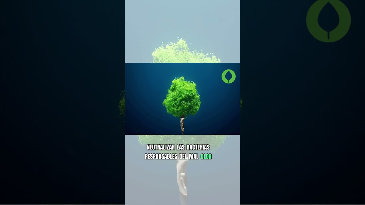 Como hacer un desodorante natural libre de qu&iacute;micos