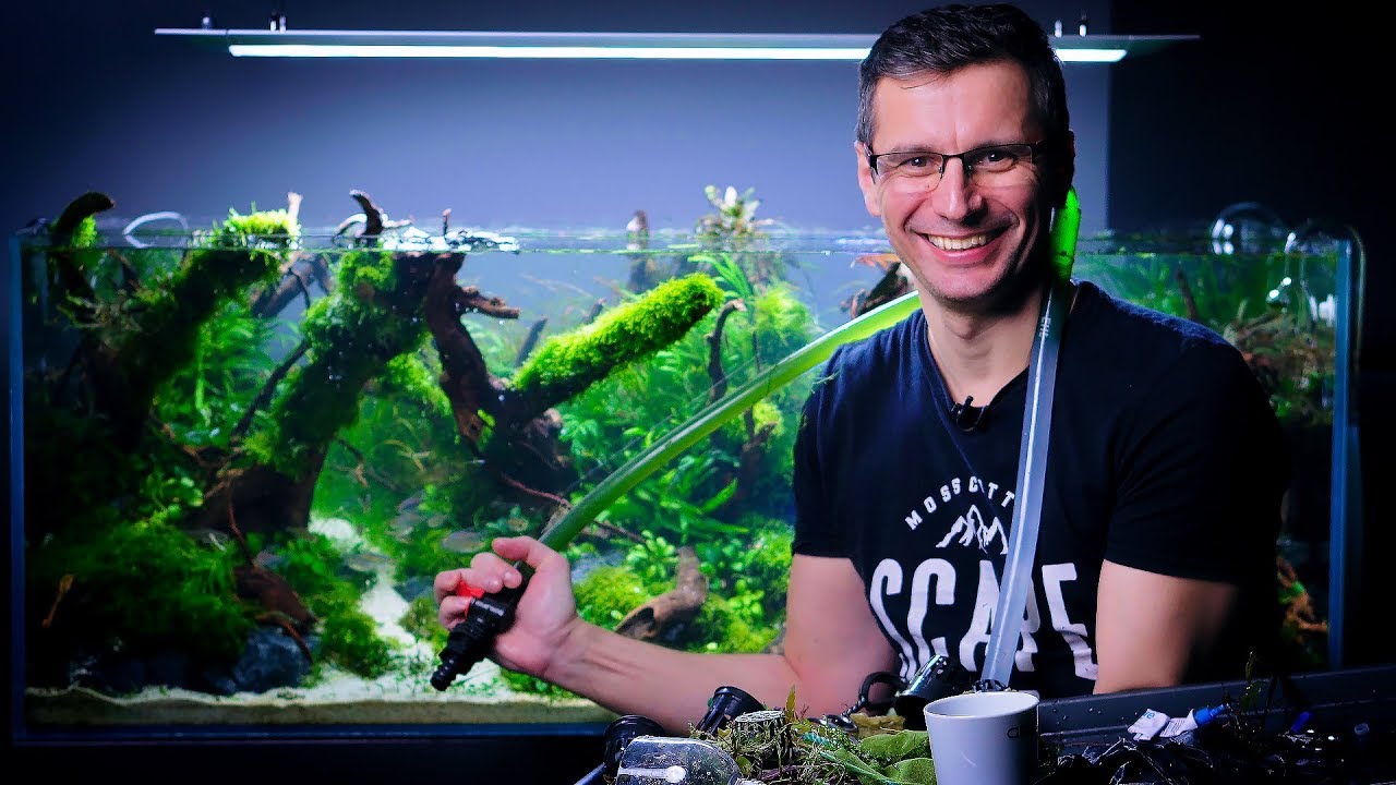 PLANTED TANK MAINTENANCE - SHAPING JOSH SIM'S AMAZING AQUASCAPE
