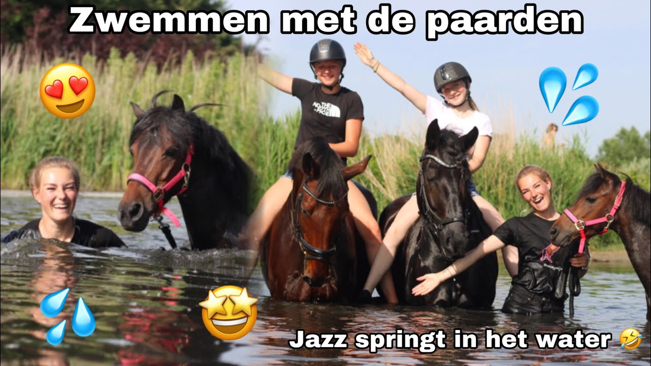 Zwemmen met de paarden en Jazz maakt een bommetje! | ashleyvrijn VLOG #24