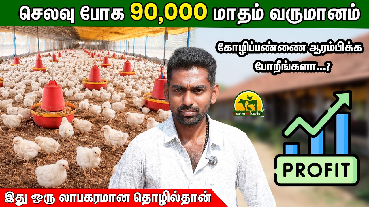 ₹90,000 மாத லாபம் தரும் கோழிப்பண்ணை – முழு விவரம் @VivasayaArvalargal