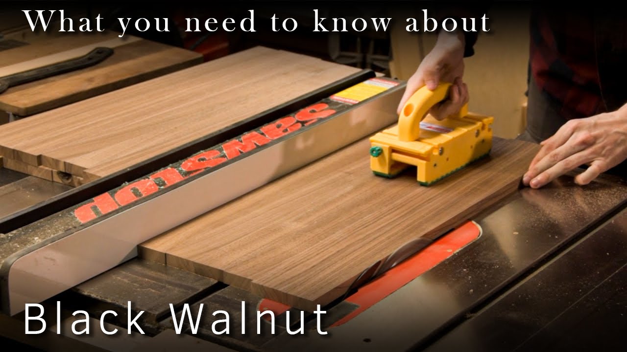 What you need to know before working with Black Walnut | Woodworking Tips