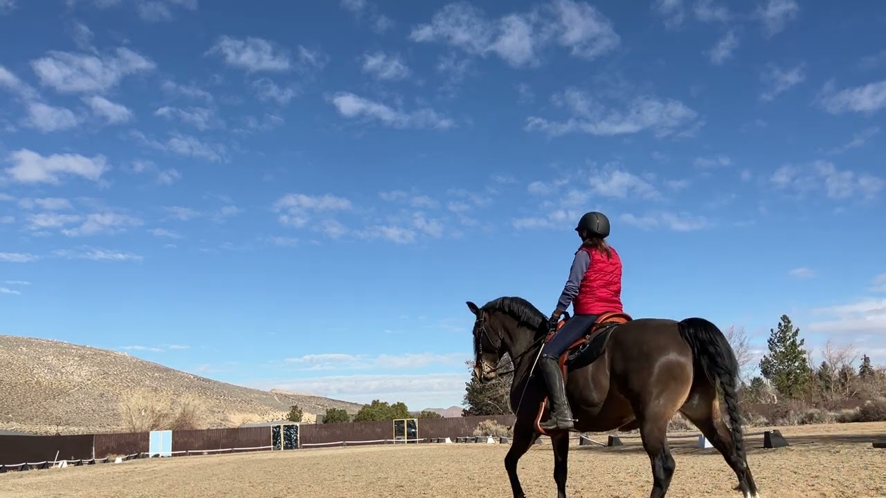 Gryg western dressage 1/23/2026