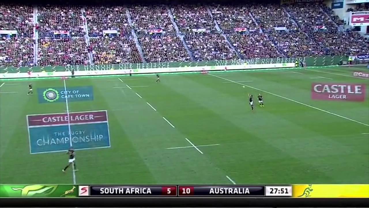 Wallabies Exit Strategy Analysis