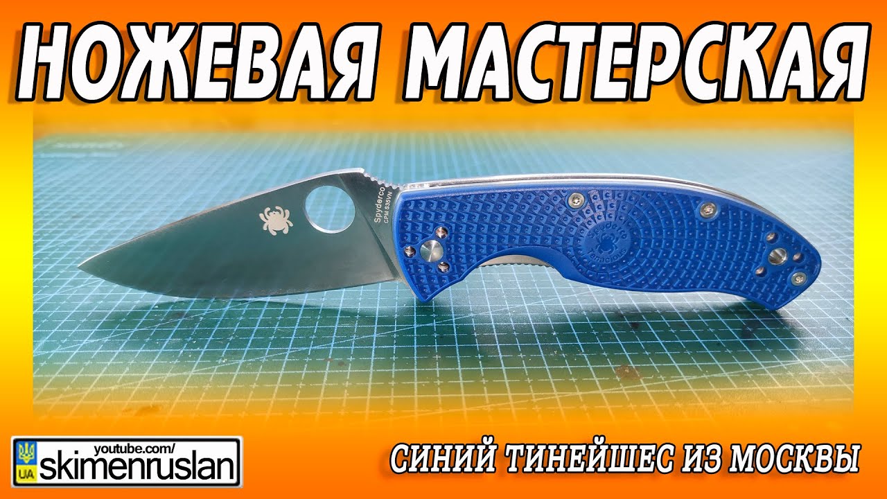 СИНИЙ ТИНЕЙШЕС ИЗ МОСКВЫ