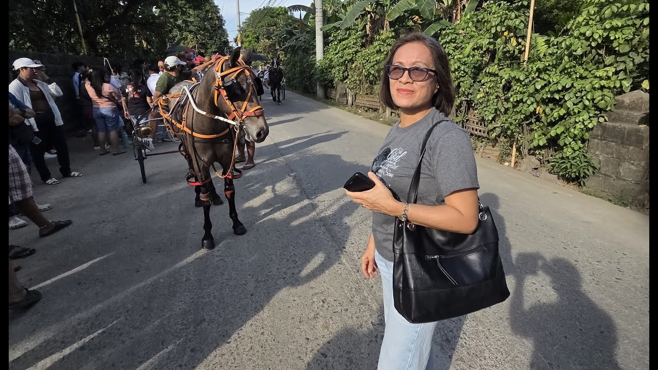 Plaridel Town Fiesta Salubong Festival (2025)