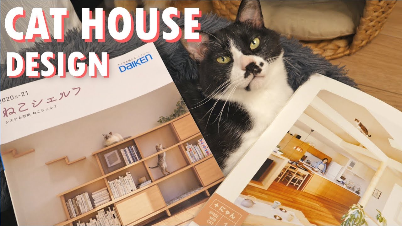 Building a Cat Friendly House in Japan