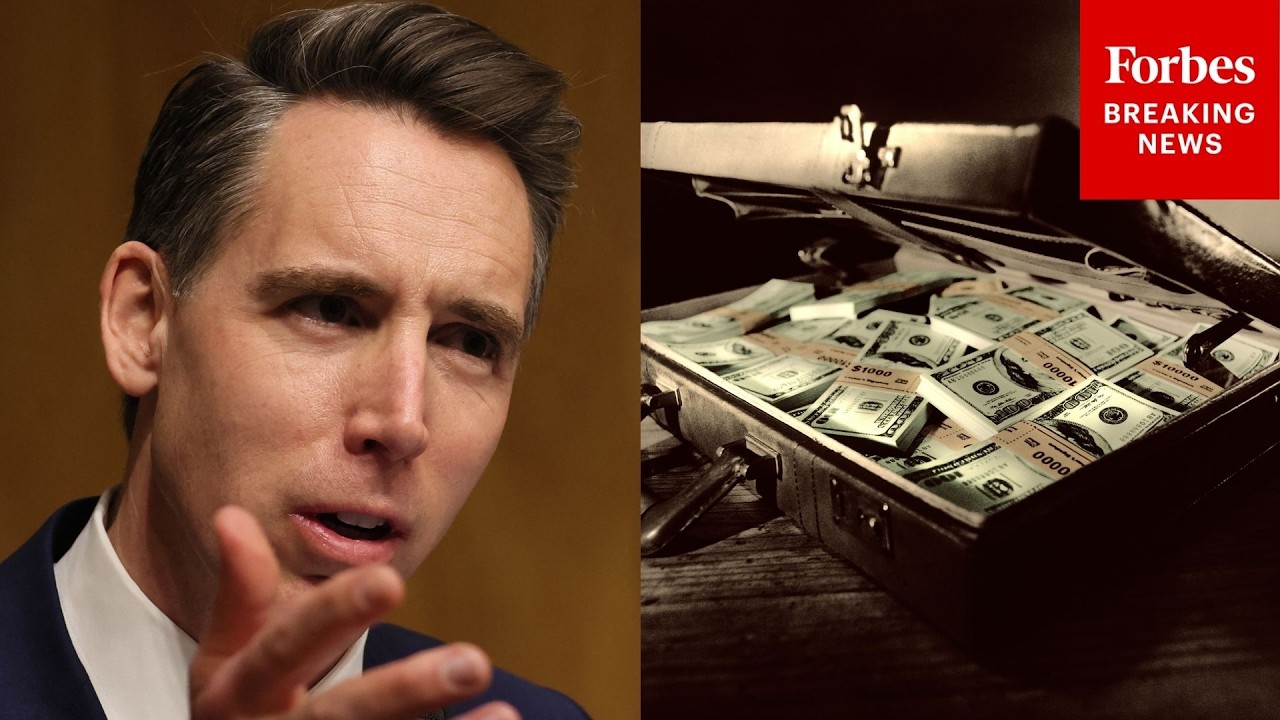 'If That's Not Infuriating, I Don't Know What Is': Josh Hawley Highlights Billions In Fraud