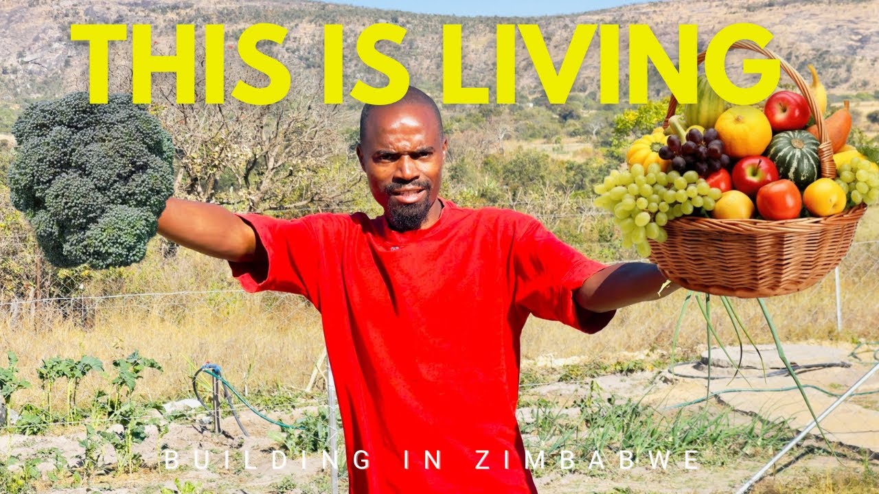 SLOW LIVING IN RURAL ZIMBABWE ||BUYING TILES PLUS BREAKFAST IN THE WILDERNESS