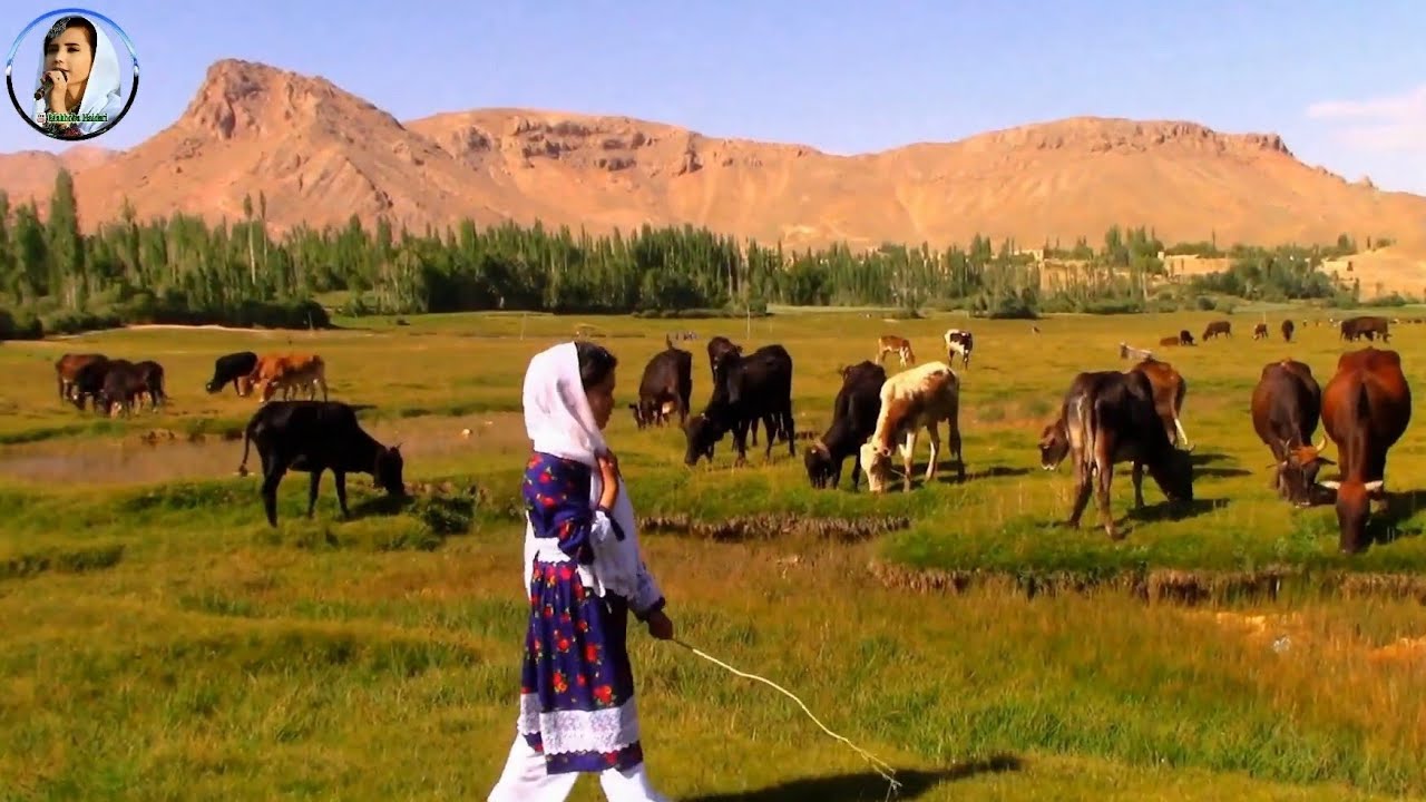 آهنگ جدید هزارگی محبوبه حیدری (گل بارو) New hazaragi song Mahboba haidari gullbaroo song