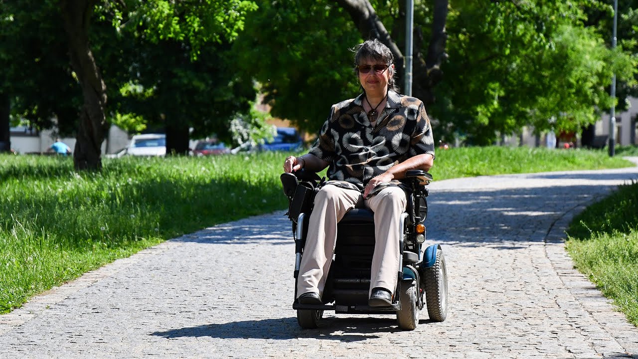 Björnsonův sad, videoprůvodce