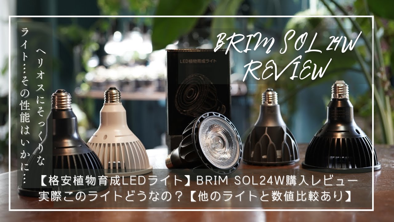 【格安植物育成LEDライト】BRIM SOL24W購入レビュー｜実際このライトどうなの？【他のライトと数値比較あり】