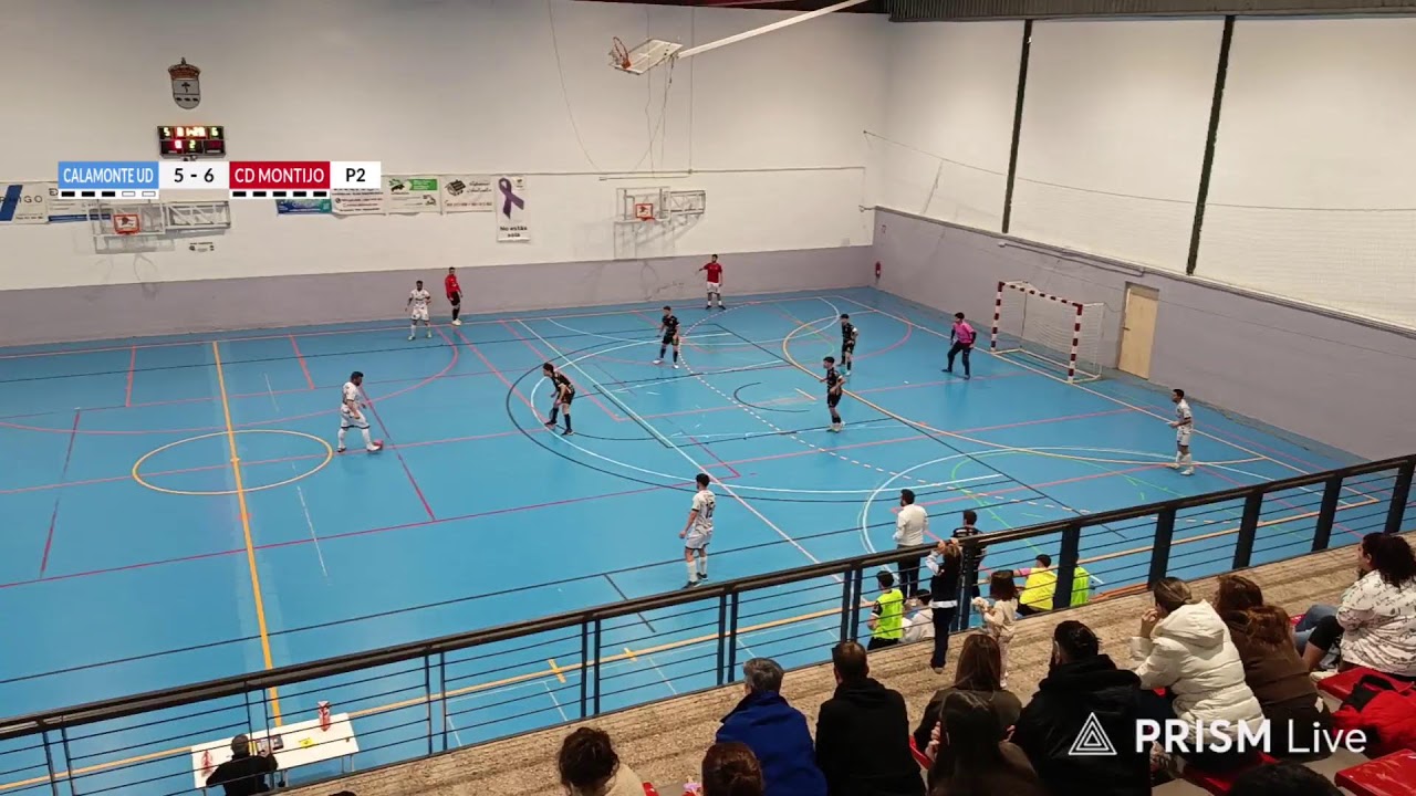 CALAMONTE FUTSAL & CD MONTIJO