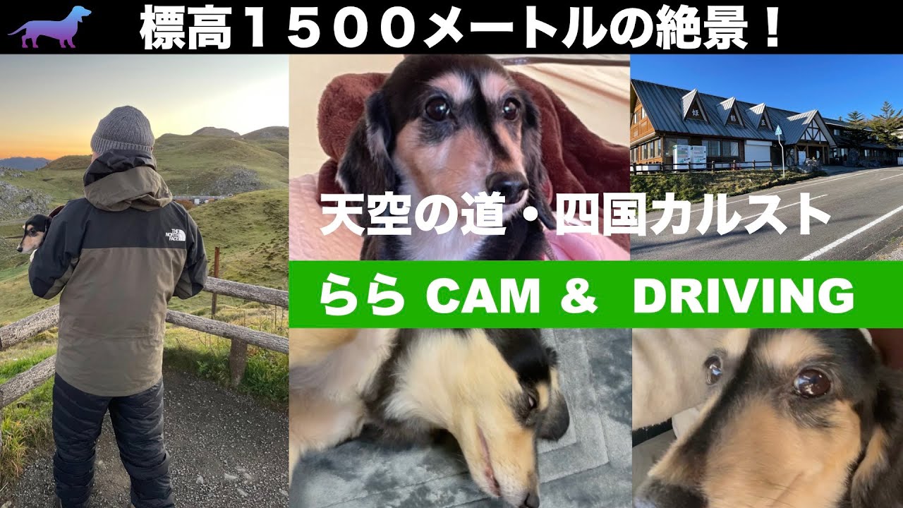 【らら CAM & DRIVING】標高1500mの絶景！〜天空の道・秋の四国カルストへ〜