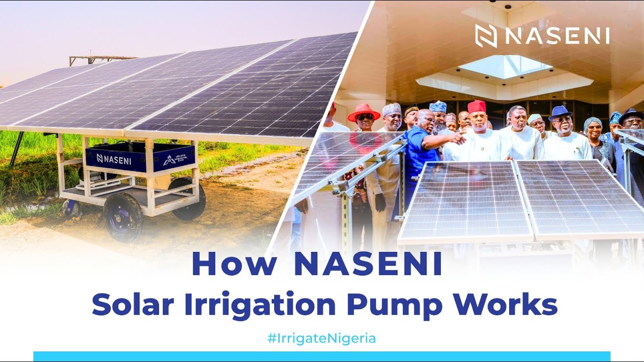 NASENI: Revolutionizing Nigerian Farming!