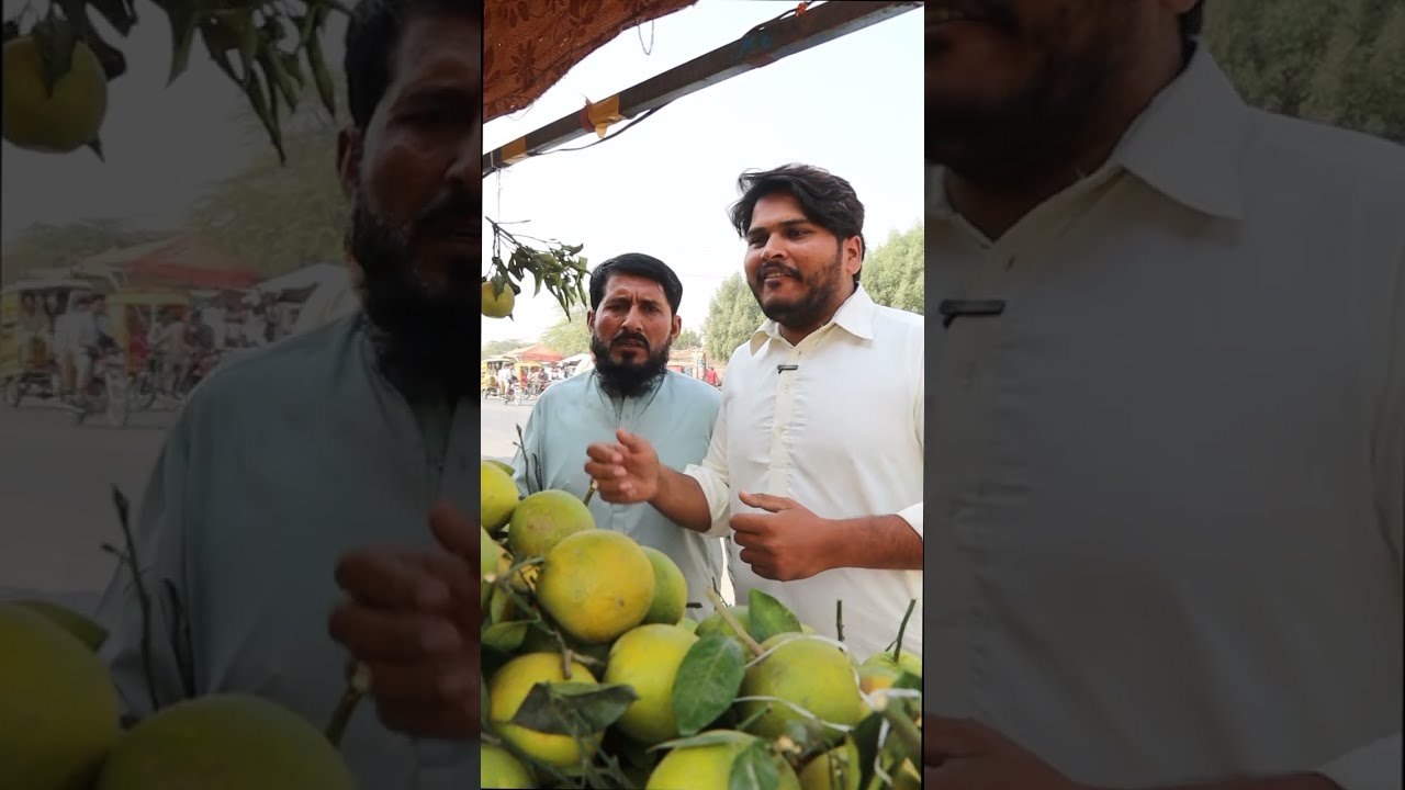 Musammi ka kya rate hai||umartv227