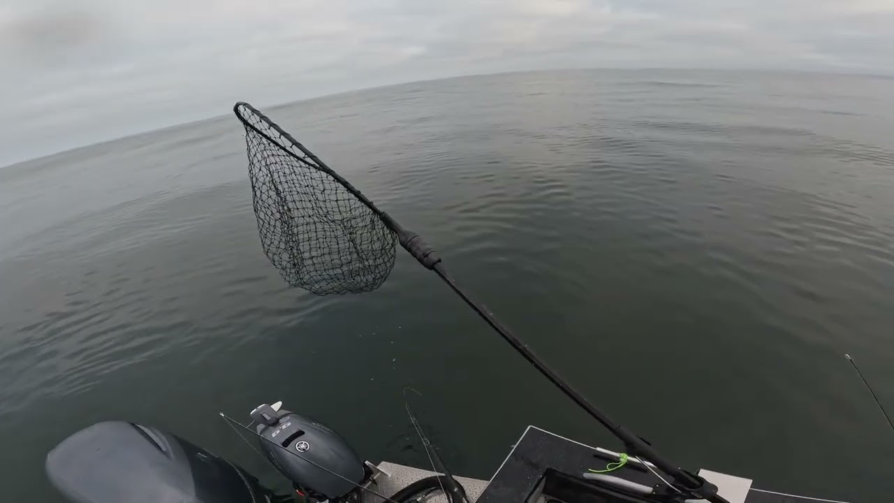 Rockfish/Lingcod sesh with live bait