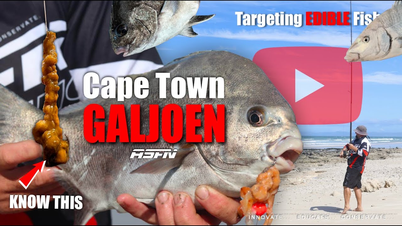 EDIBLE FISHING at False Bay | TIPS & TECHNIQUES | ASFN Rock & Surf