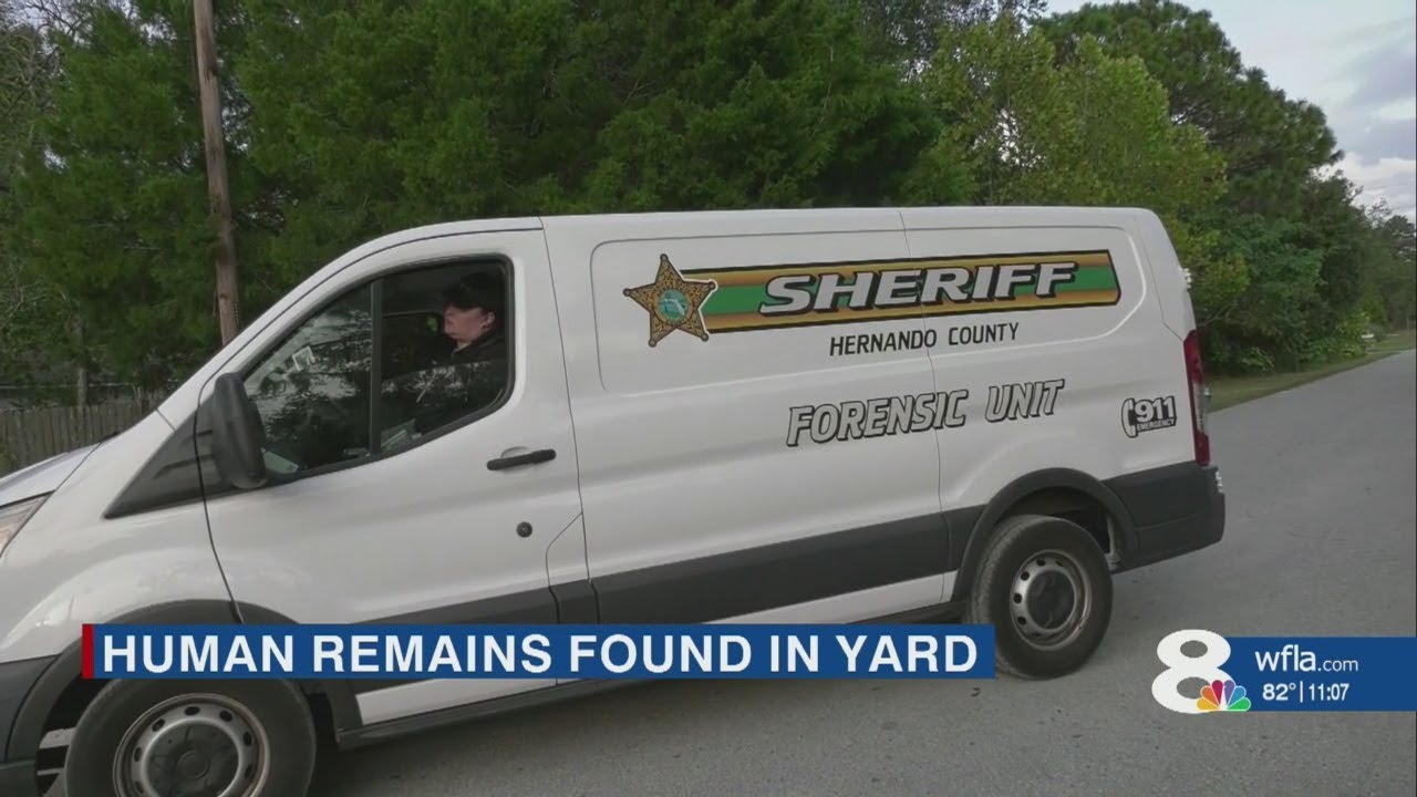 A grisly discovery was made in the yard of a Hernando County home