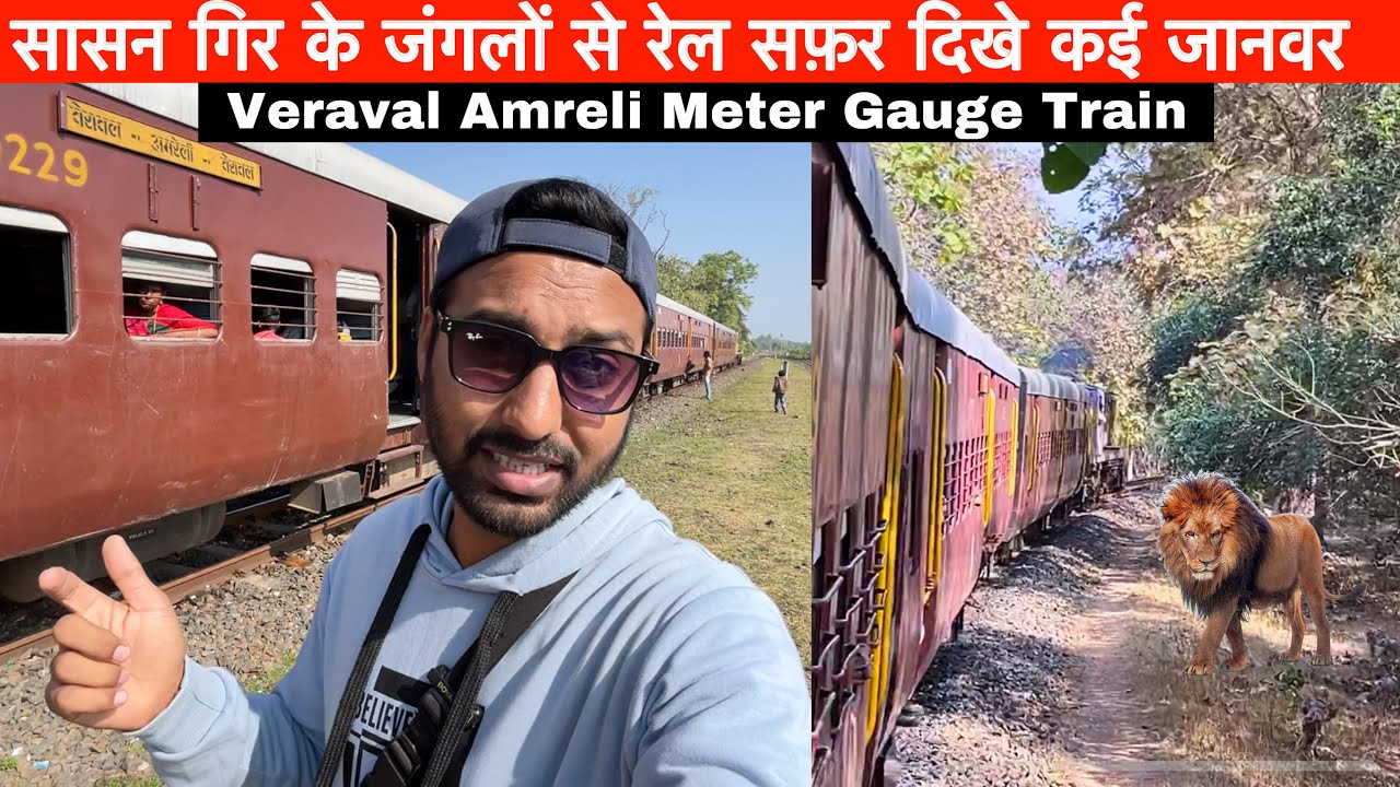 Veraval Amreli Meter Gauge train journey through Gir forest •Jangli Janwar dikhe•😱