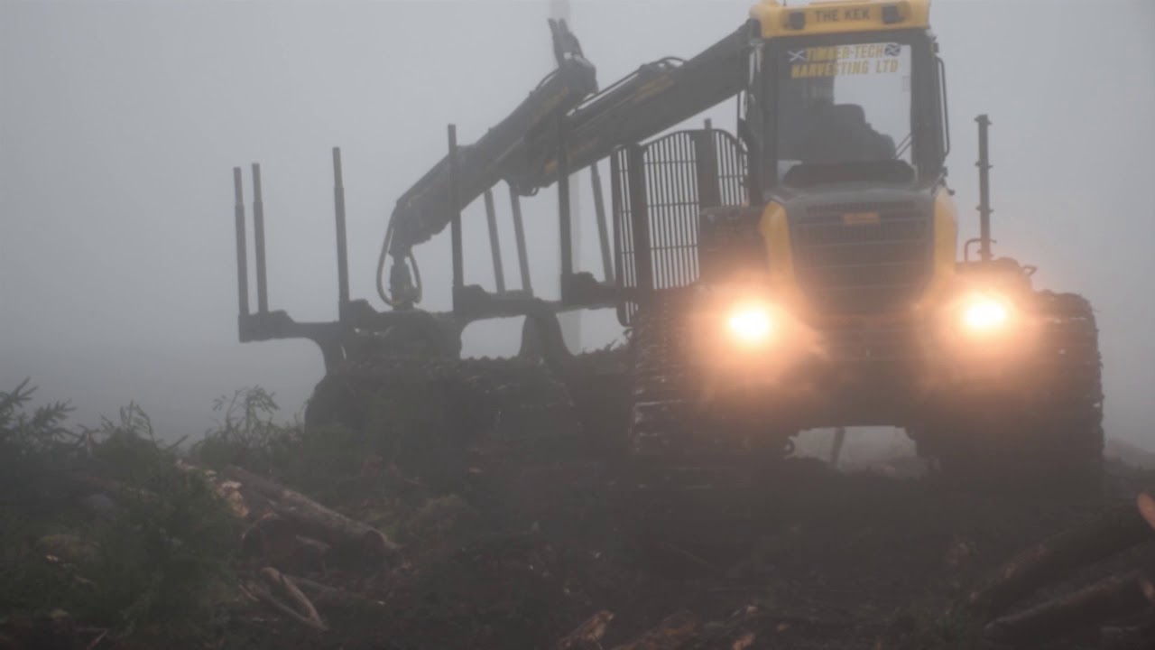 Timber Harvesting