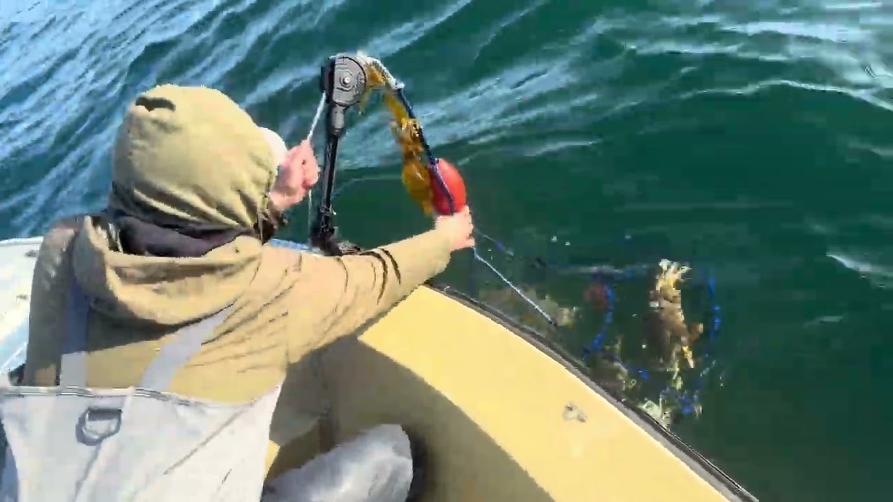 Tomales bay crabbing 1/17/26