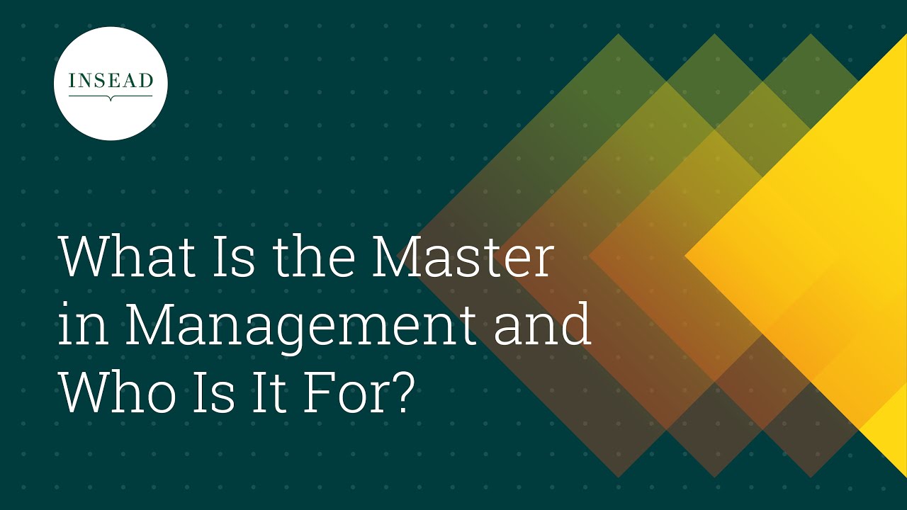 What Is the Master in Management and Who Is It For?