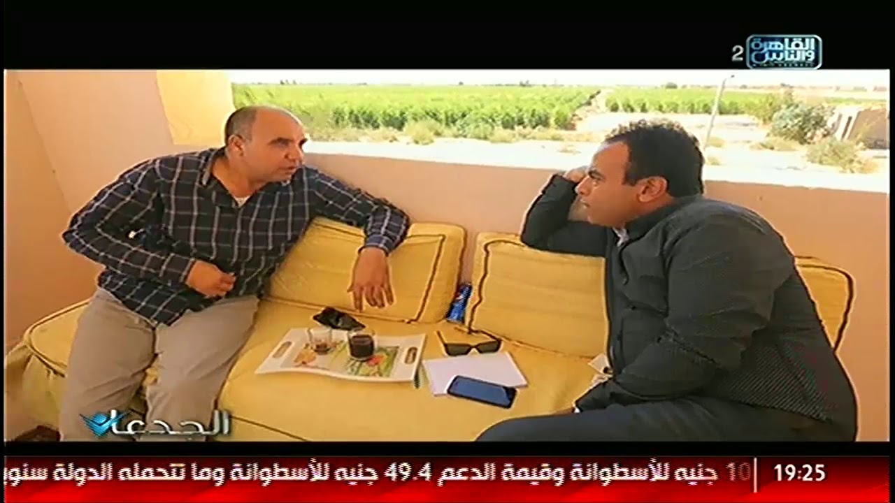 الجدعان | يرصد حصريا نجاح اول محاولة لزراعة قصب السكر في الصحراء