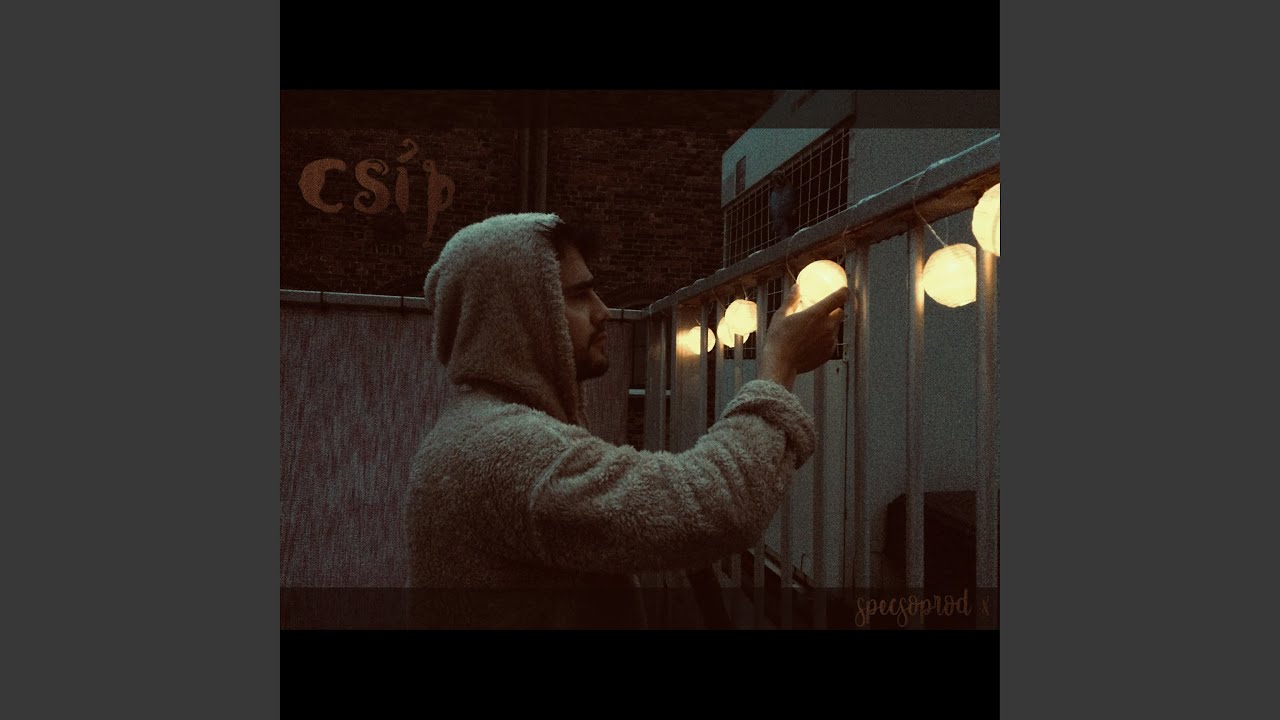 Cs&iacute;p